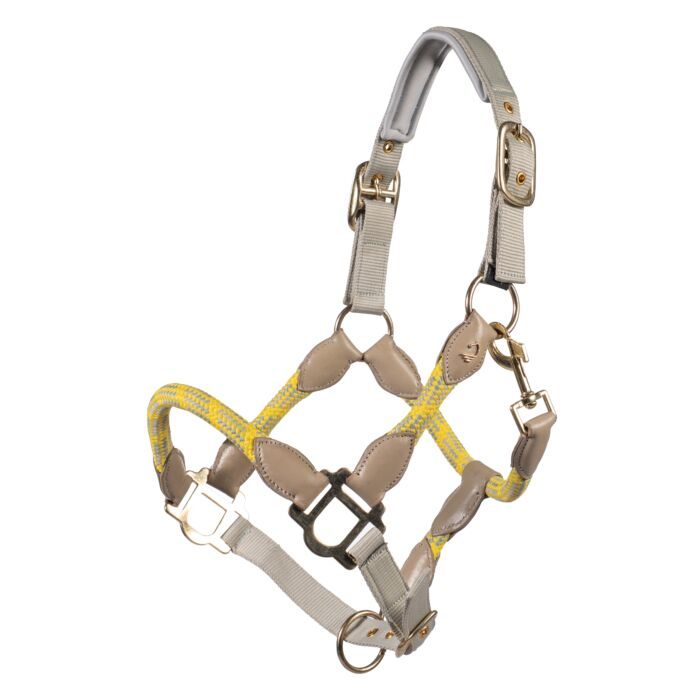 Nylongrimma Limone