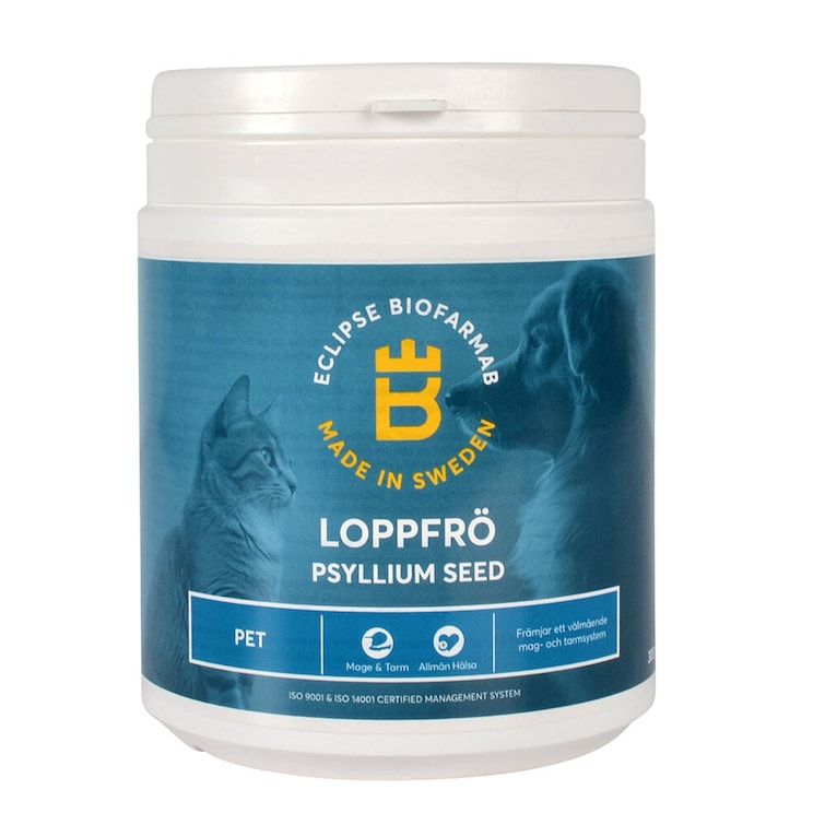 Loppfrö