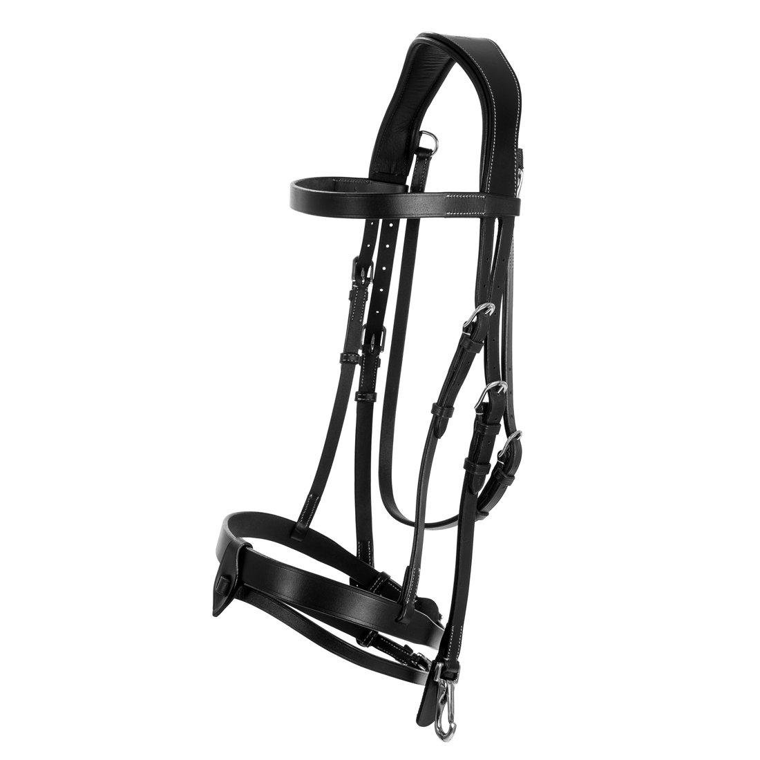 Aachenträns Trainer