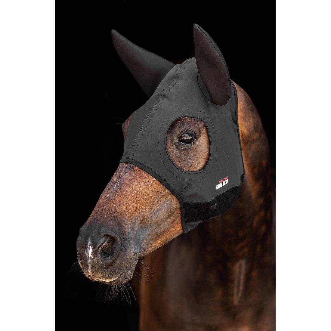 Titanium Mask