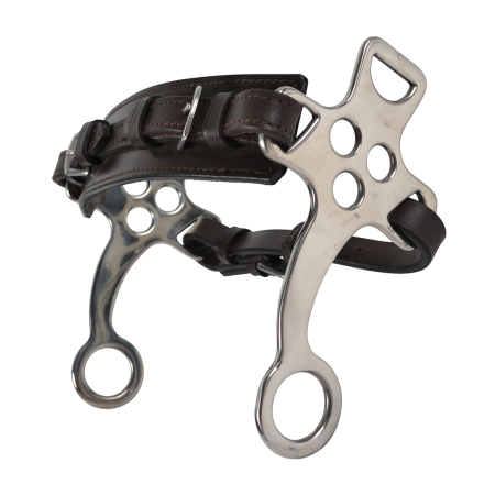 Hackamore