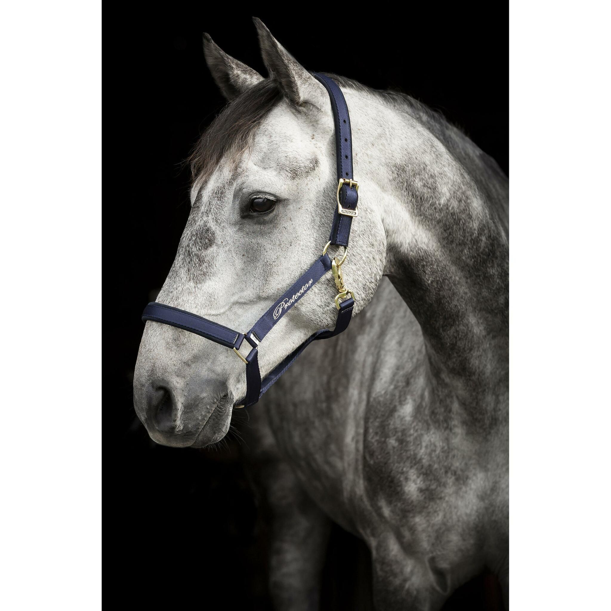 Nylongrimma Derry