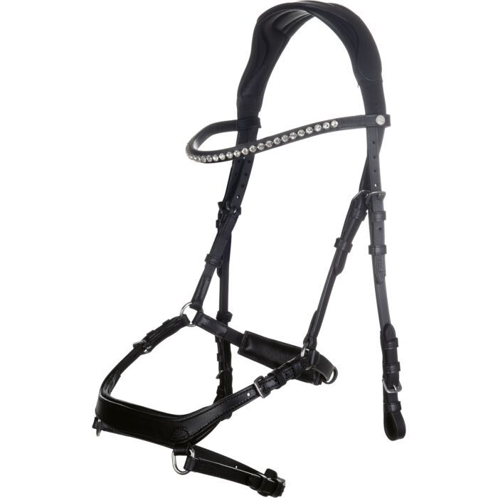 Träns Pro Anatomic