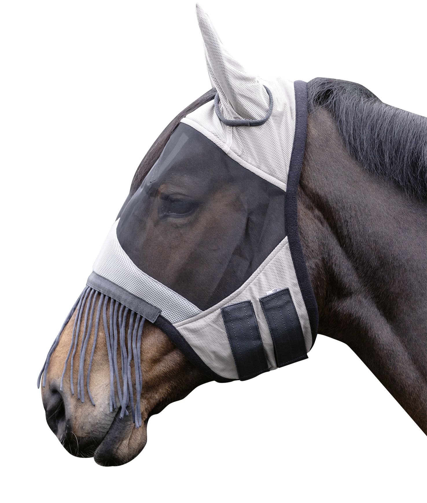 Flughuva Fringes